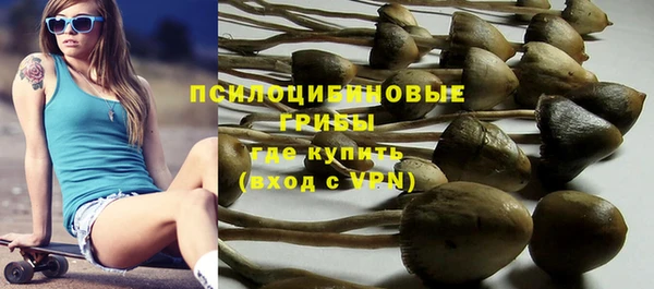 винт Михайлов